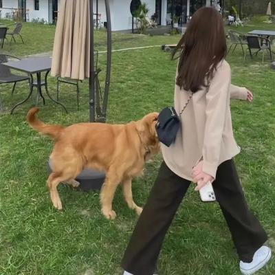 心之咒魅
